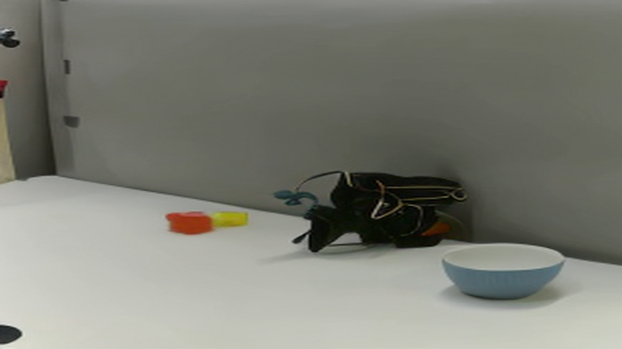 VISTA rendered image